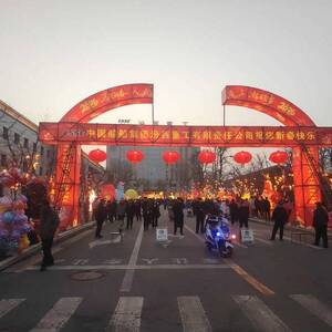 ������������ʮ��Ԫ�����͵�