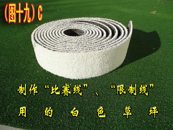 ͼ��19��--Cjpg.jpg