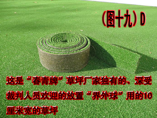 ͼ��19��--Djpg.jpg