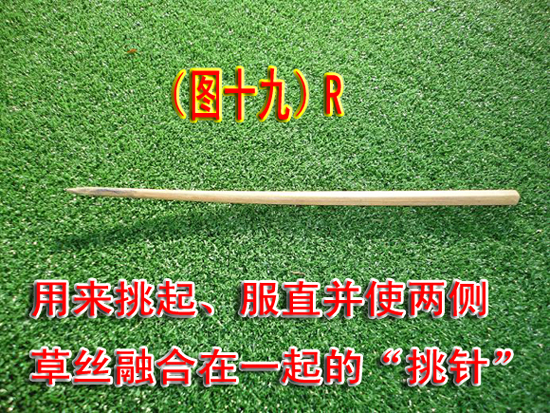 ͼ��19��--Rjpg.jpg