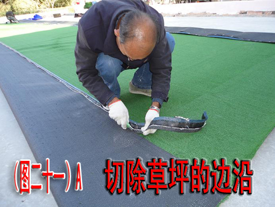 ͼ��21��--Ajpg.jpg