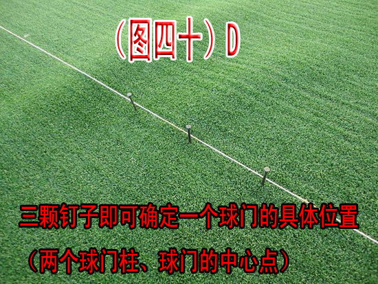 ͼ��40��--Djpg.jpg