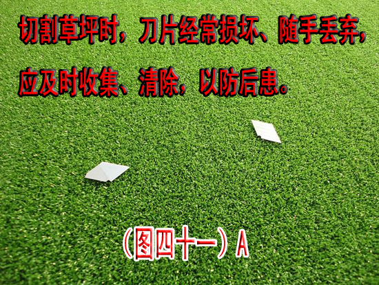 ͼ��41��--Ajpg.jpg