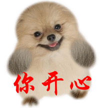 223250btztcpqzfdq2a410.gif