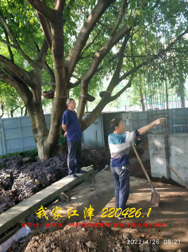 JYZ 20220426.1 WBQ (5).jpg