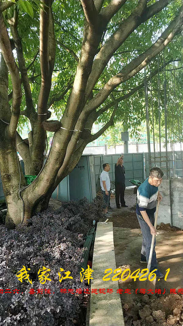 JYZ 20220426.1 WBQ (6).jpg