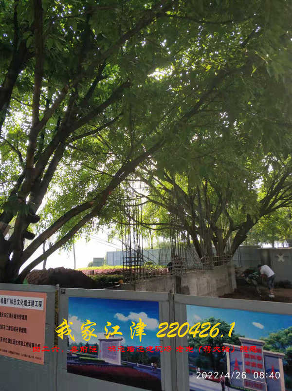 JYZ 20220426.1 WBQ (15).jpg