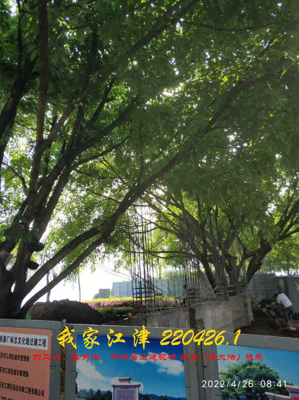 JYZ 20220426.1 WBQ (16).jpg