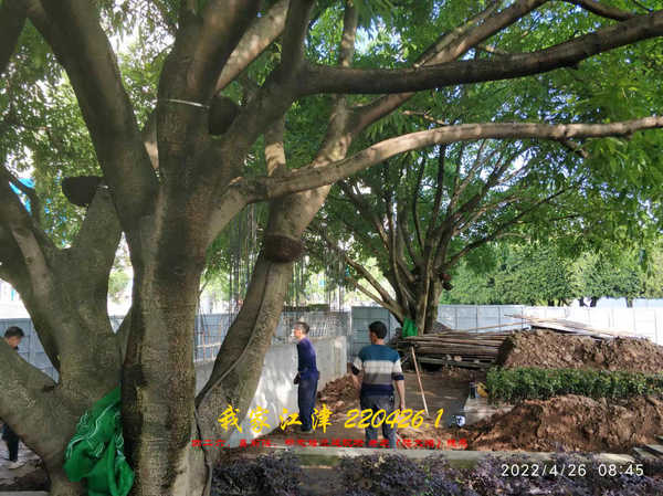 JYZ 20220426.1 WBQ (22).jpg